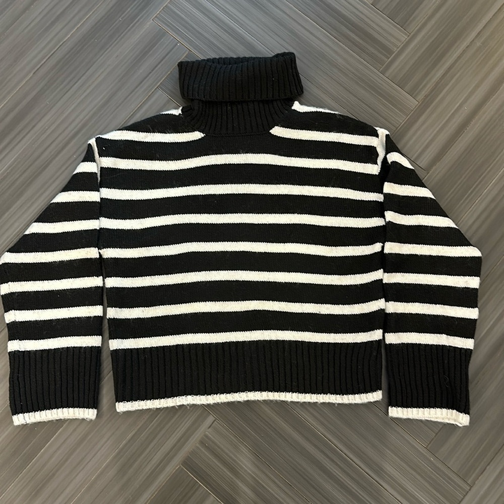Z Supply Josephine Stripe Turtleneck Sweater
